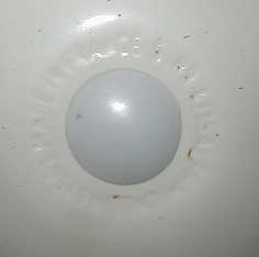 Picture of the month October/November/December 2004